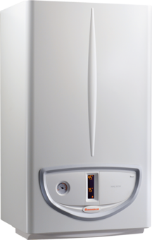 Caldaia a Camera Aperta Immergas NIKE ECO 24 Metano