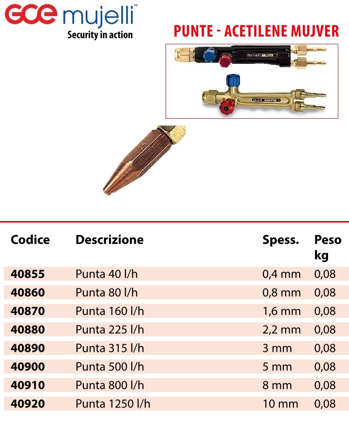 95598-V1~~353782097281~~623150127258